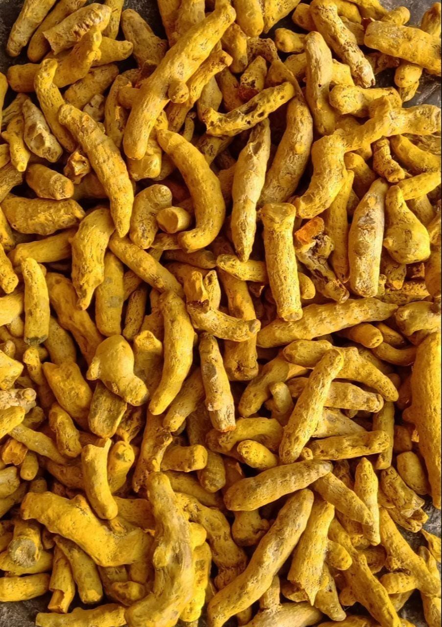 Nizamabad Turmeric